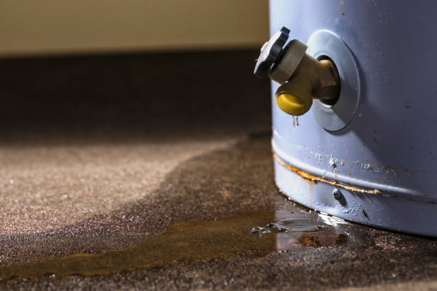 Best Professional water damage repair  in Barnsdall, OK