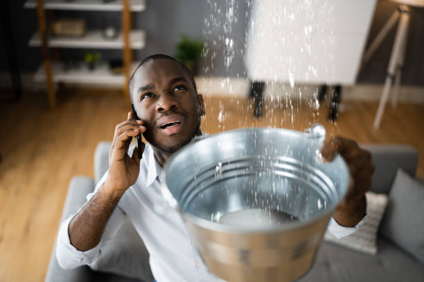 Best Mold removal after water damage  in Barnsdall, OK