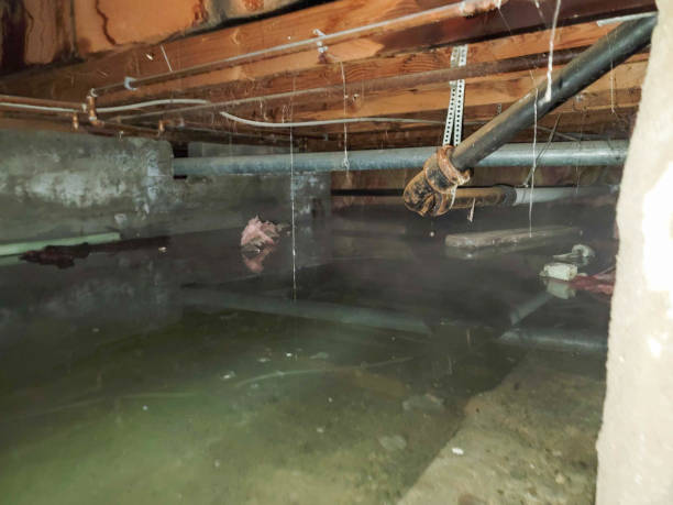 Best Emergency water damage restoration  in Barnsdall, OK