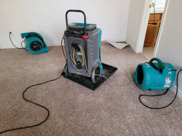 Best Flooded house restoration  in Barnsdall, OK