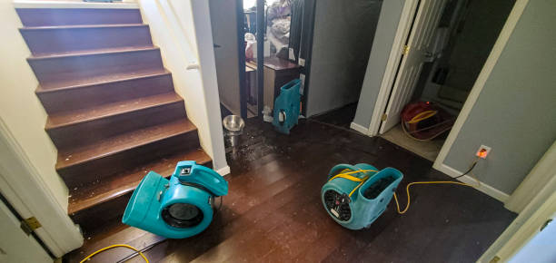 Best Water damage cleanup near me  in Barnsdall, OK