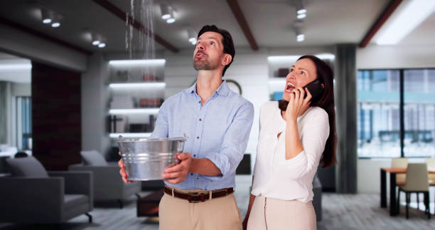 Best Ceiling water damage repair  in Barnsdall, OK