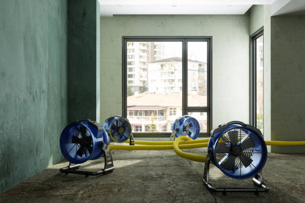 Best Flood restoration services  in Barnsdall, OK