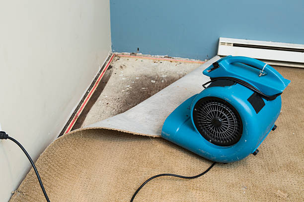 Best Professional water damage repair  in Barnsdall, OK